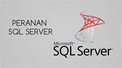 Contoh SQL Server に対する画像結果