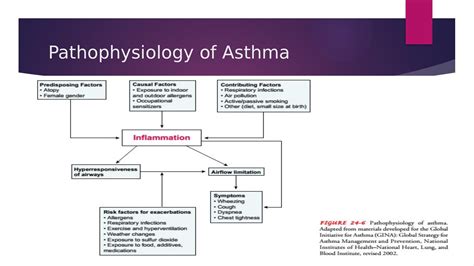 Image result for Asthma Pathophysiology Novartis