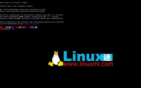 Image result for Ly Greeter Linux