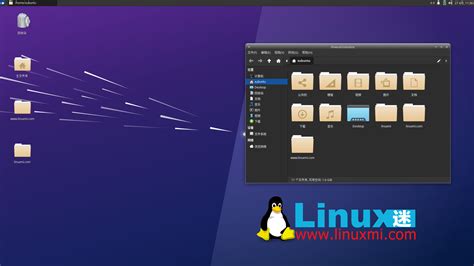 Image result for Xumbutu