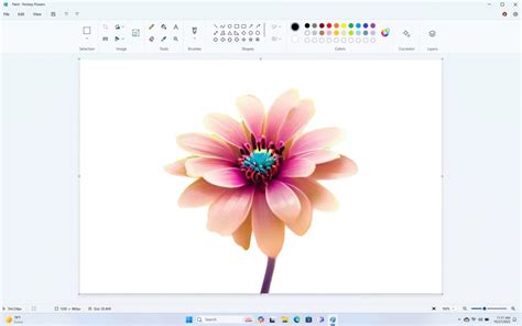 Toradh íomhá ar Paint Update Windows 11