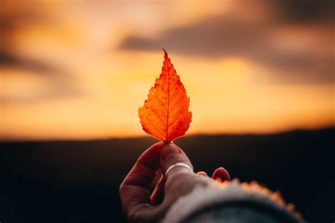 Image result for Stack Production Testing