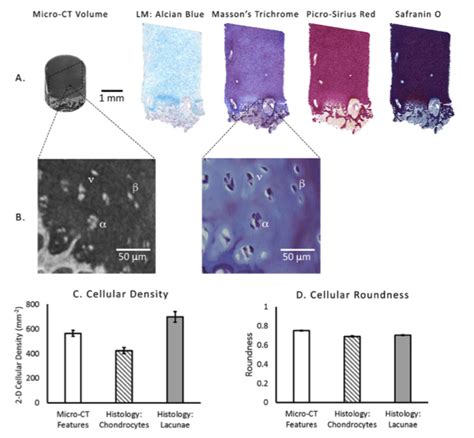 Image result for Figure Legend Example