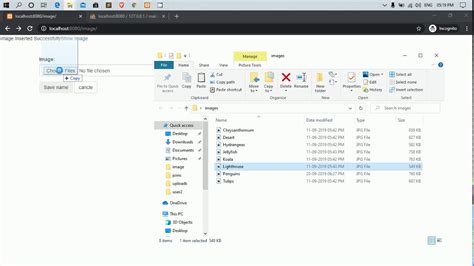 How to Add Image in MySQL Database に対する画像結果