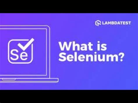 Afbeeldingsresultaten voor Selenium Developer Beginner
