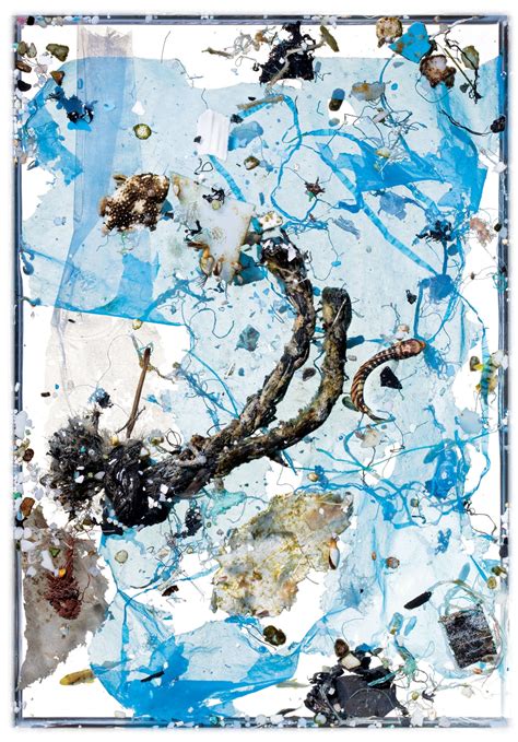 Respiratory Issues When Fish Are Exposed to Micro Plastics Graph 的图像结果