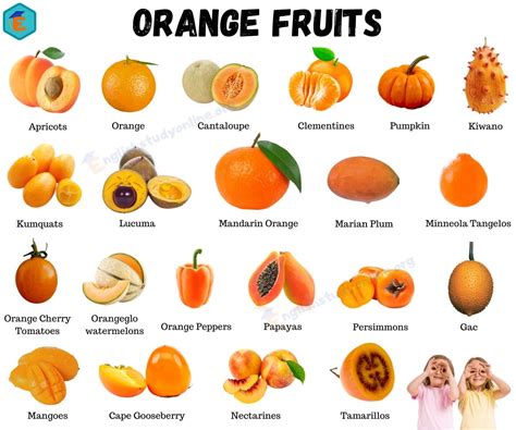 Image result for Orange Autel Key Progerammers