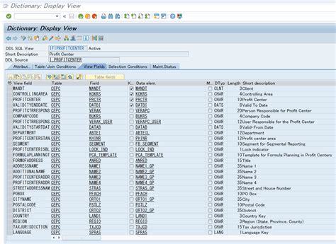 Toradh íomhá ar C Program for Printng Predefined Data