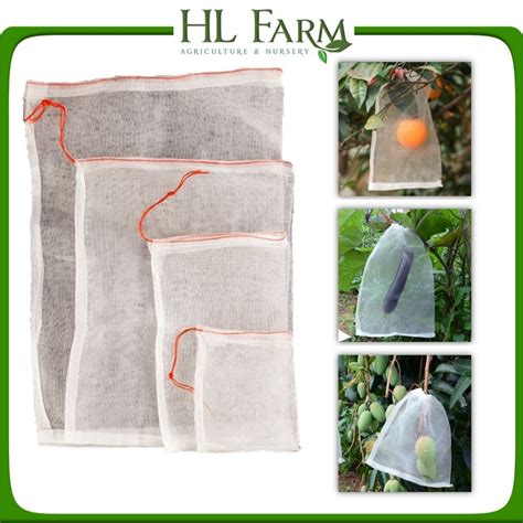 How to Call Fruit Net に対する画像結果