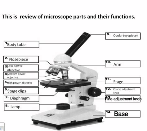 Image result for Parts and Function of Microscope Worksheet