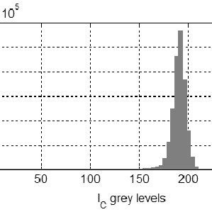 Image result for Level of Grey Histogram Python