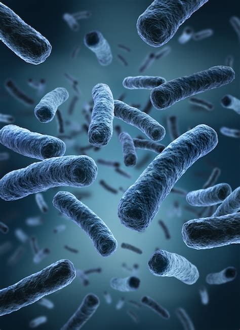 Image result for Legionella