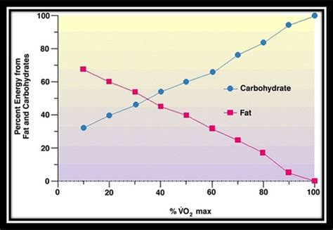 Substrate Utilization vs Intensity に対する画像結果