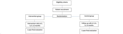 Flowchart of Randomization Process in a Sports Study に対する画像結果