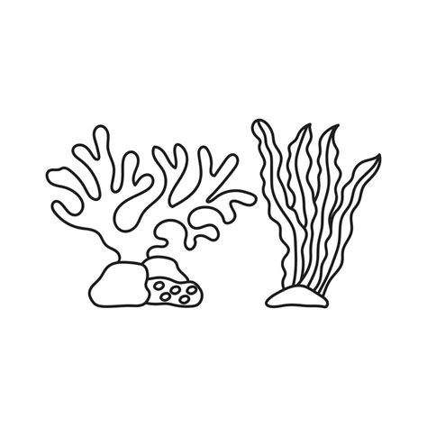 Basic Coral Drawing എന്നതിനുള്ള ഇമേജ് ഫലം