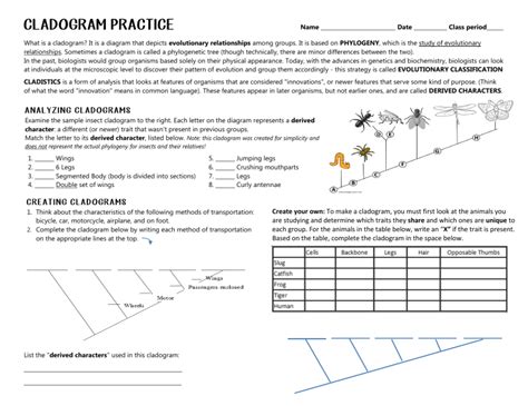 Image result for Tarsiiformes Cladogram