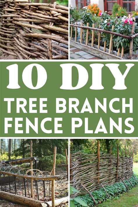 Toradh íomhá ar How to Create a Vegetable Fence with Tree Branches