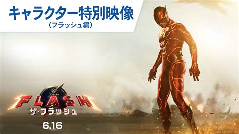 Image result for Zebra Flash