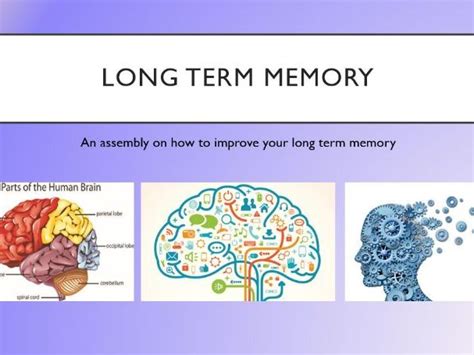Image result for Model of Long-Term Memory