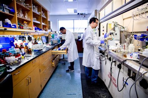 Medicinal Chemist に対する画像結果