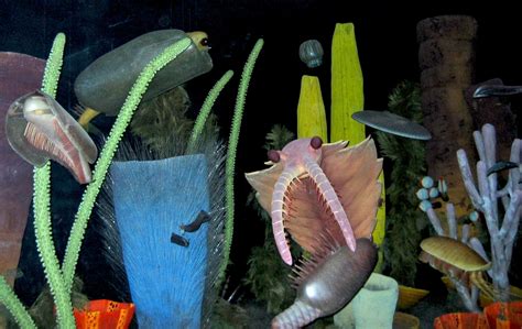 Image result for Endocreas Cambrian