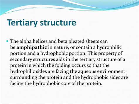 Protein Folding Mechanism | PPTX