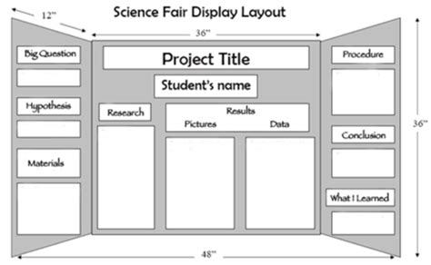 Image result for Science Fair Chart Examples