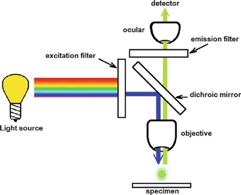 Image result for Microscope Platform