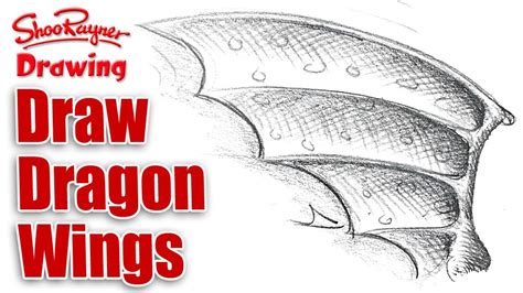 Image result for Pinterest Tutorial How to Draw Dragon Wings