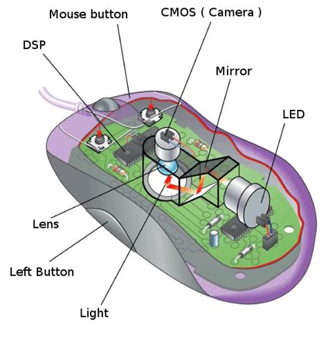 Image result for Lab Mouse Schematic