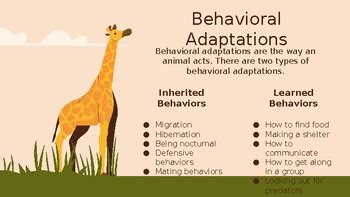 Animal Behavioral Adaptations- Lesson by Katie Thomason | TPT