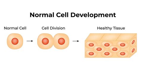 Afbeeldingsresultaten voor Normal Cell Icon