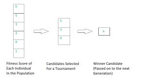 Tournament Selection Algorithm に対する画像結果