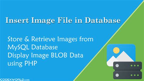 Image result for MySQL Database Used in Image Processing