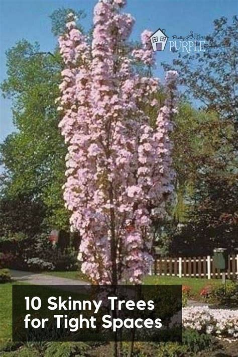 Image result for Tree Column Simple