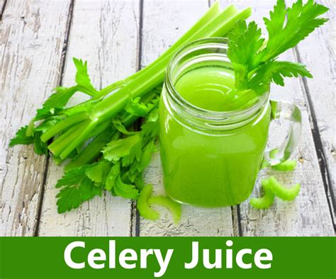 Celery Juice に対する画像結果