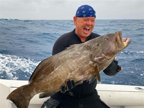 Image result for Colonial Angler