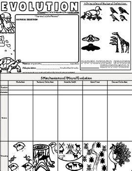 Toradh íomhá ar Evolution Key Graph