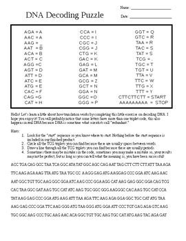 Toradh íomhá ar Decoding DNA Worksheet