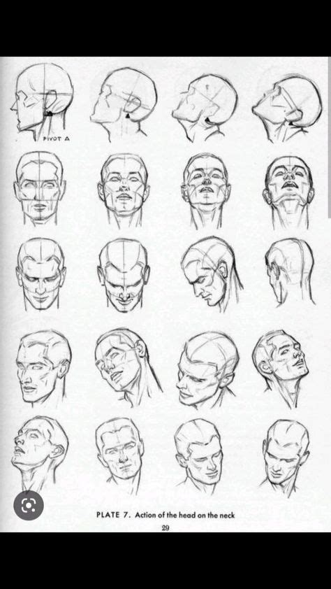 Image result for Tilted Head Reference