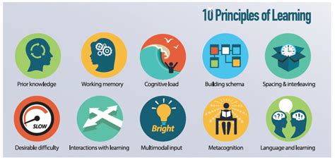 Image result for Science of Learning Principles