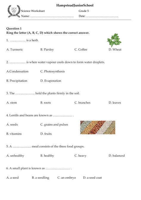 Grade One Science Worksheet に対する画像結果