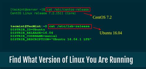 Image result for How to Check RHEL OS Version Linux Command
