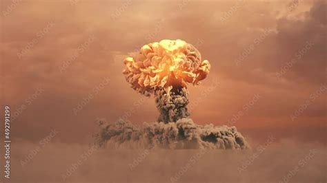 Micro Nuke Test に対する画像結果