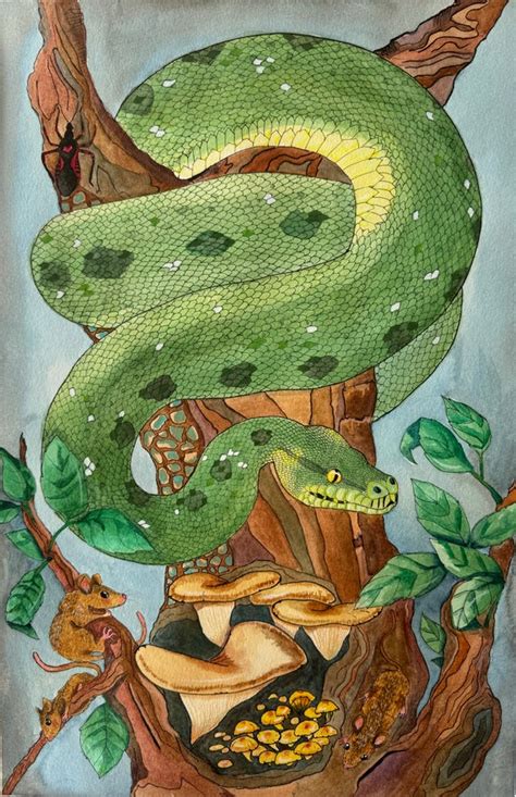 Image result for Green Tree Python Painting