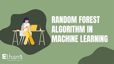 Image result for Overview of Random Forest Algorithm