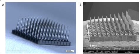 Afbeeldingsresultaten voor Utah Array