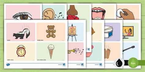 Toradh íomhá ar Excel Sorting Activity