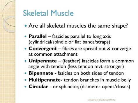 Muscles and Movement に対する画像結果