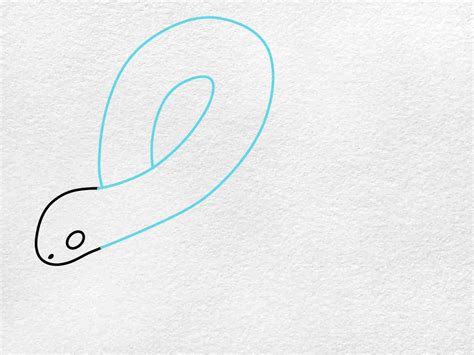 Image result for Python Tekening